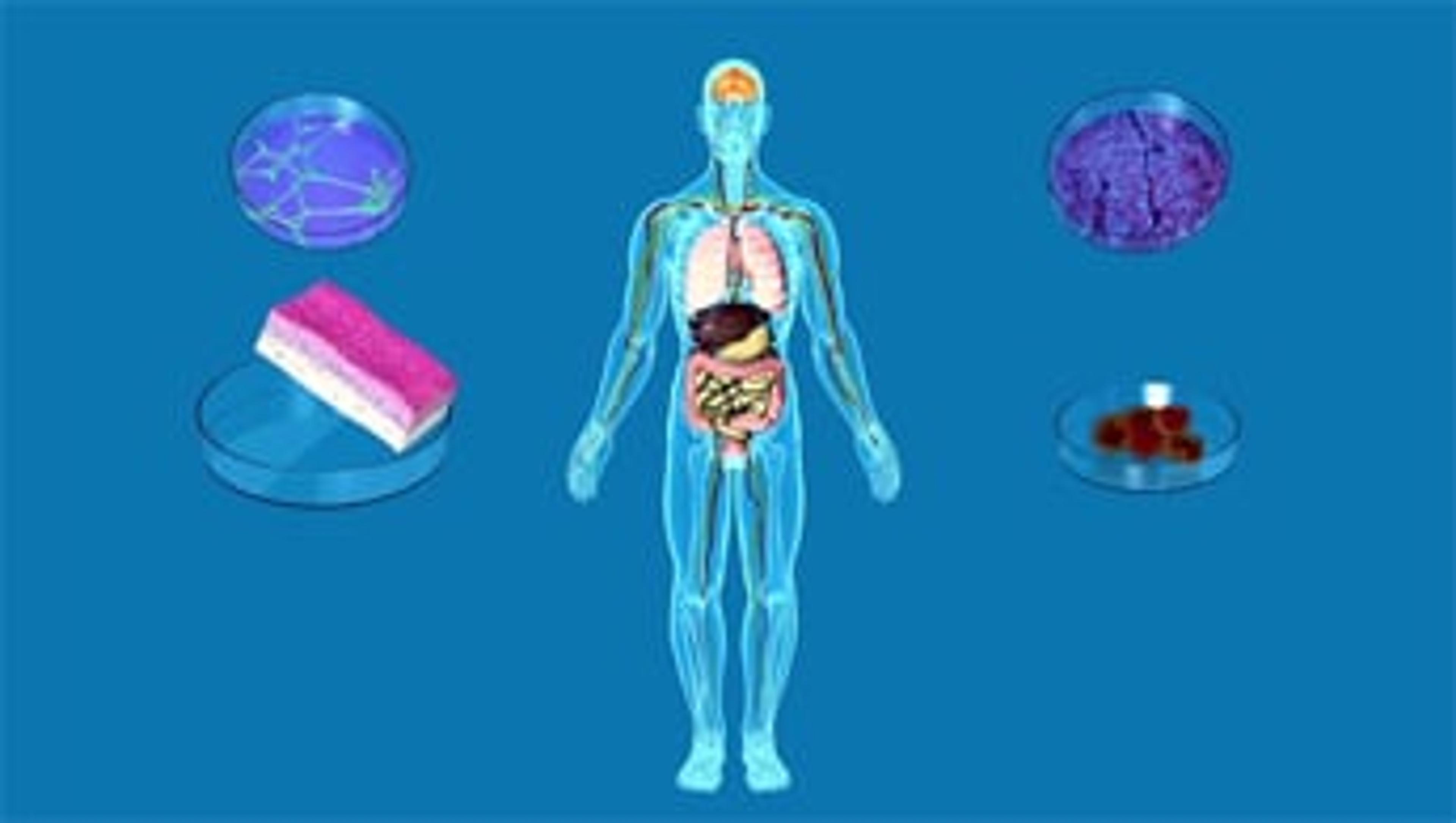 SIRION Vision: New Cell Technologies to Advance Medical Research SIRION Vision: New Cell Technologies to Advance Medical Research