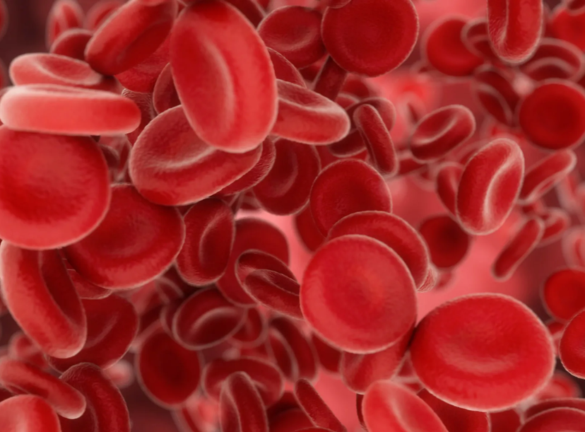 Red blood cells
