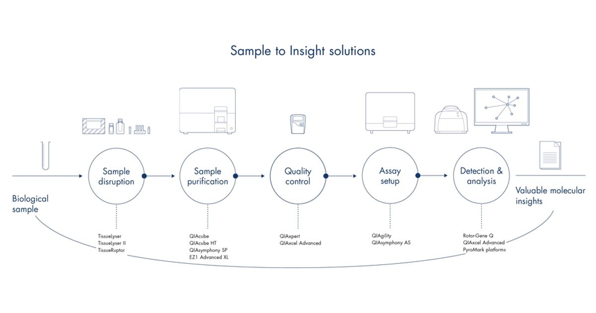 Lab Insight Batch File From Sample to Insight at the Push of a Button
