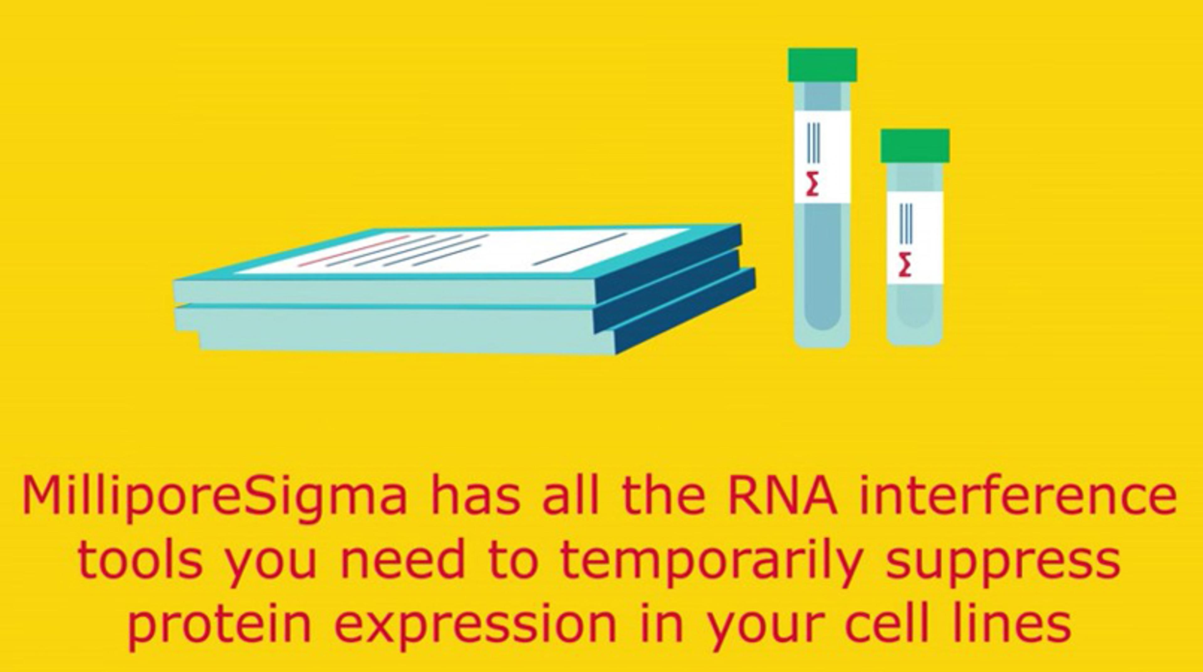 Temporarily suppress protein expression with RNA interference tools Temporarily suppress protein expression with RNA interference tools