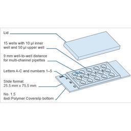 Key Features of the µ-Slide Chemotaxis