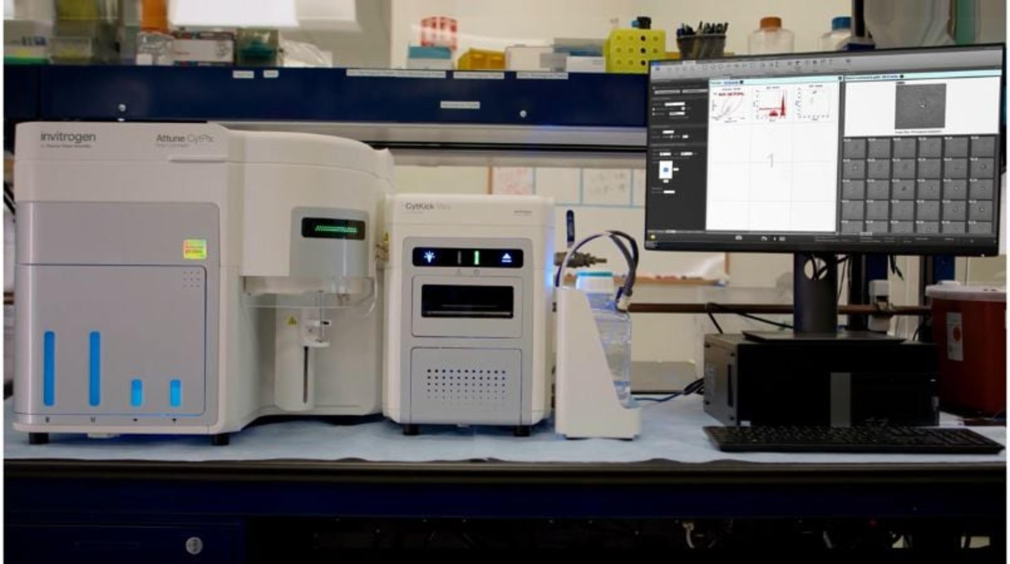 Improve accuracy in your flow cytometry data analysis with the Attune CytPix Flow Cytometer Improve accuracy in your flow cytometry data analysis with the Attune CytPix Flow Cytometer