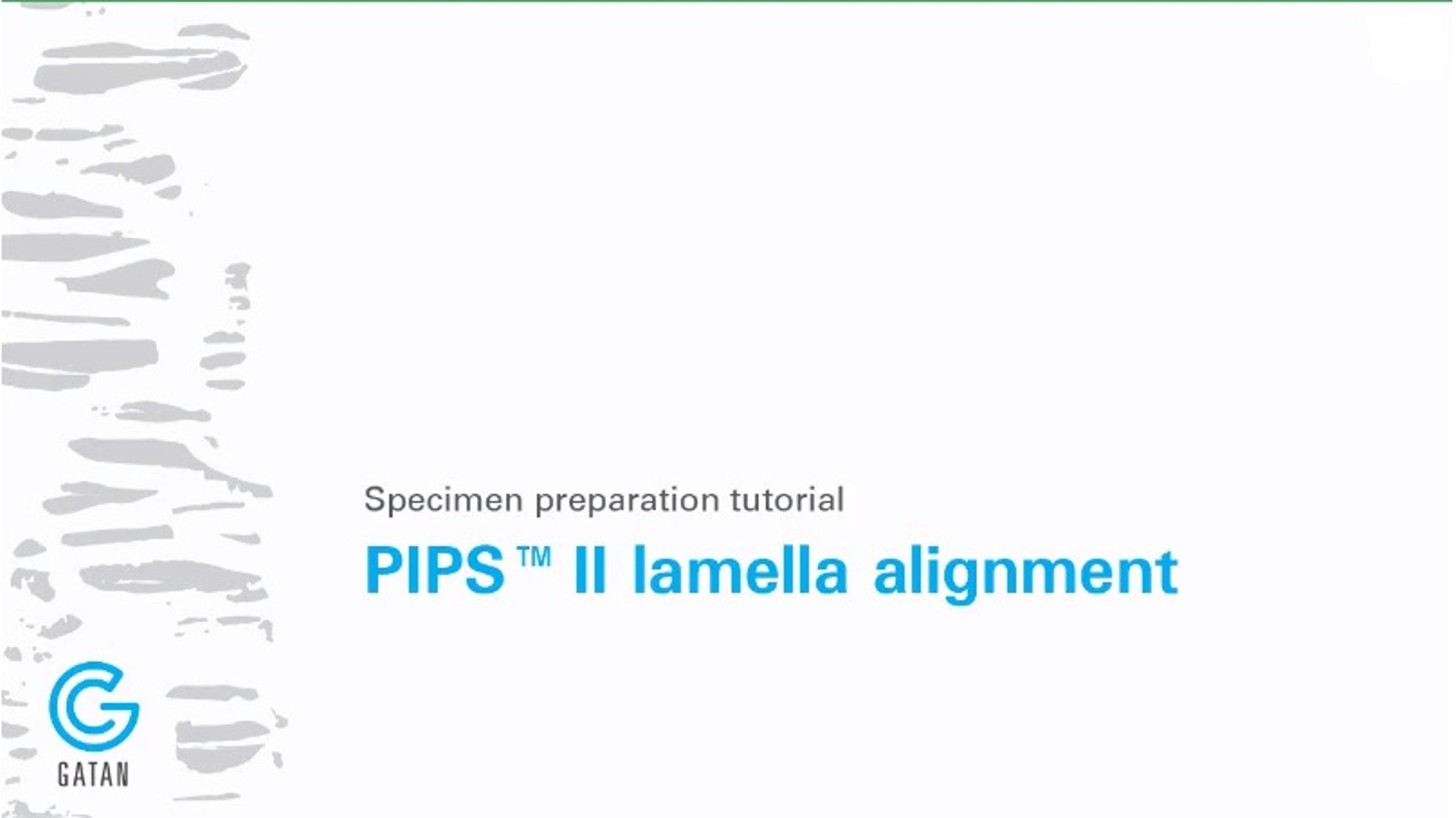 Lamella Alignment On The PIPS II System Lamella Alignment On The PIPS II System
