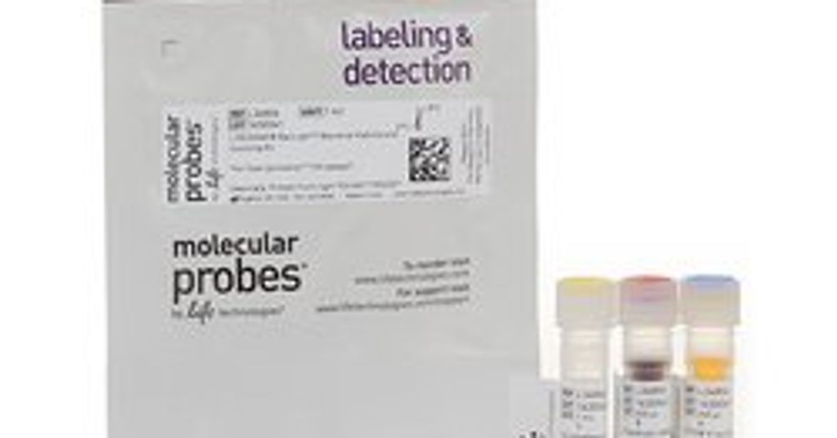 Invitrogen™ LIVE/DEAD™ BacLight™ Bacterial Viability and Counting Kit