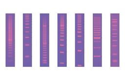 Molecular Rulers