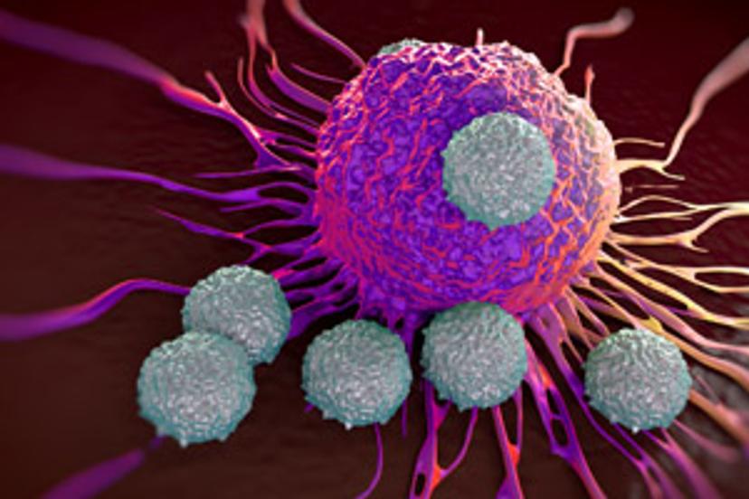 Spatial profiling the tumor microenvironment during successful Immune Checkpoint Therapy