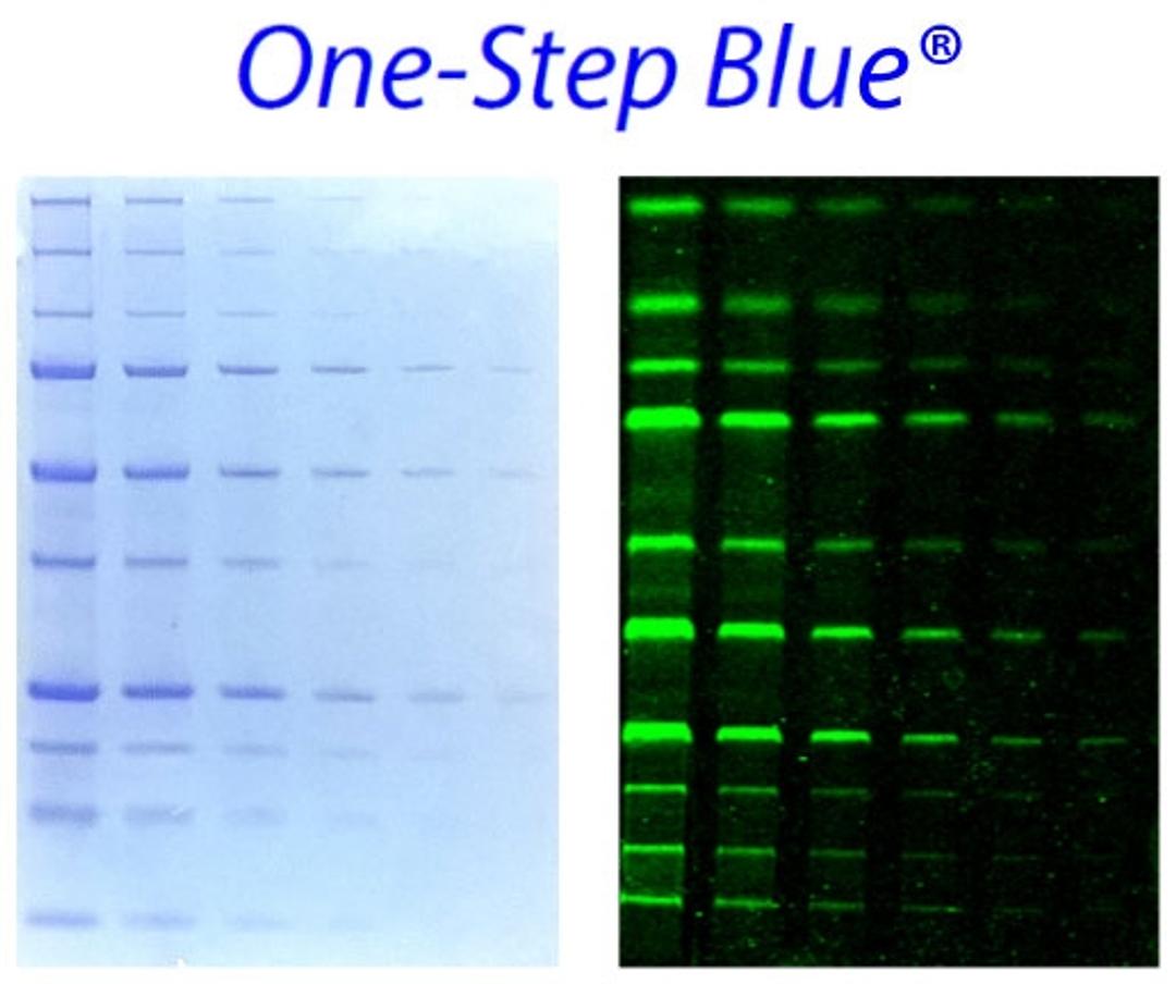 Colorimetric or fluorescence gel imaging