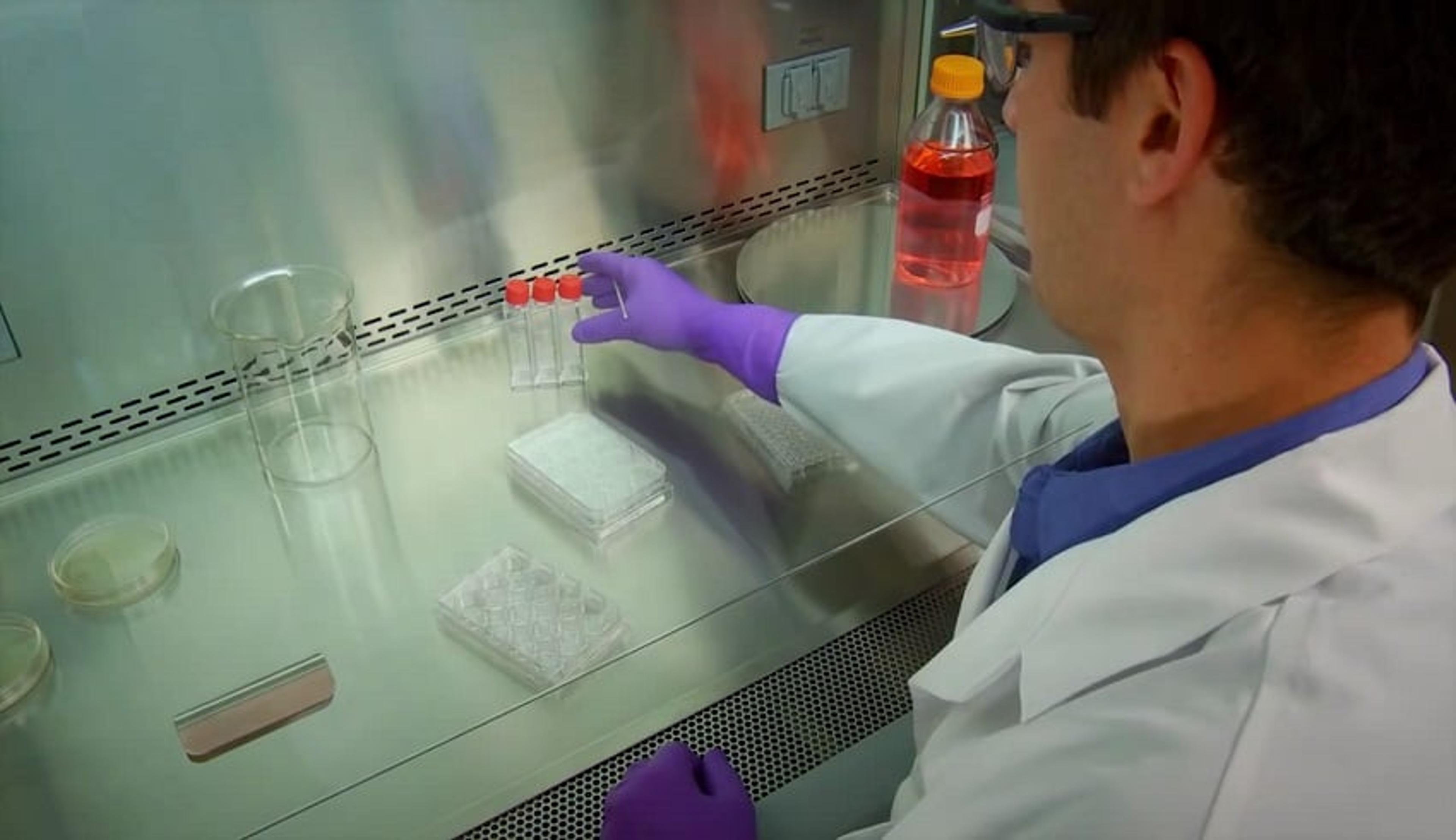 Experience Ergonomics in your Biological Safety Cabinet Experience Ergonomics in your Biological Safety Cabinet