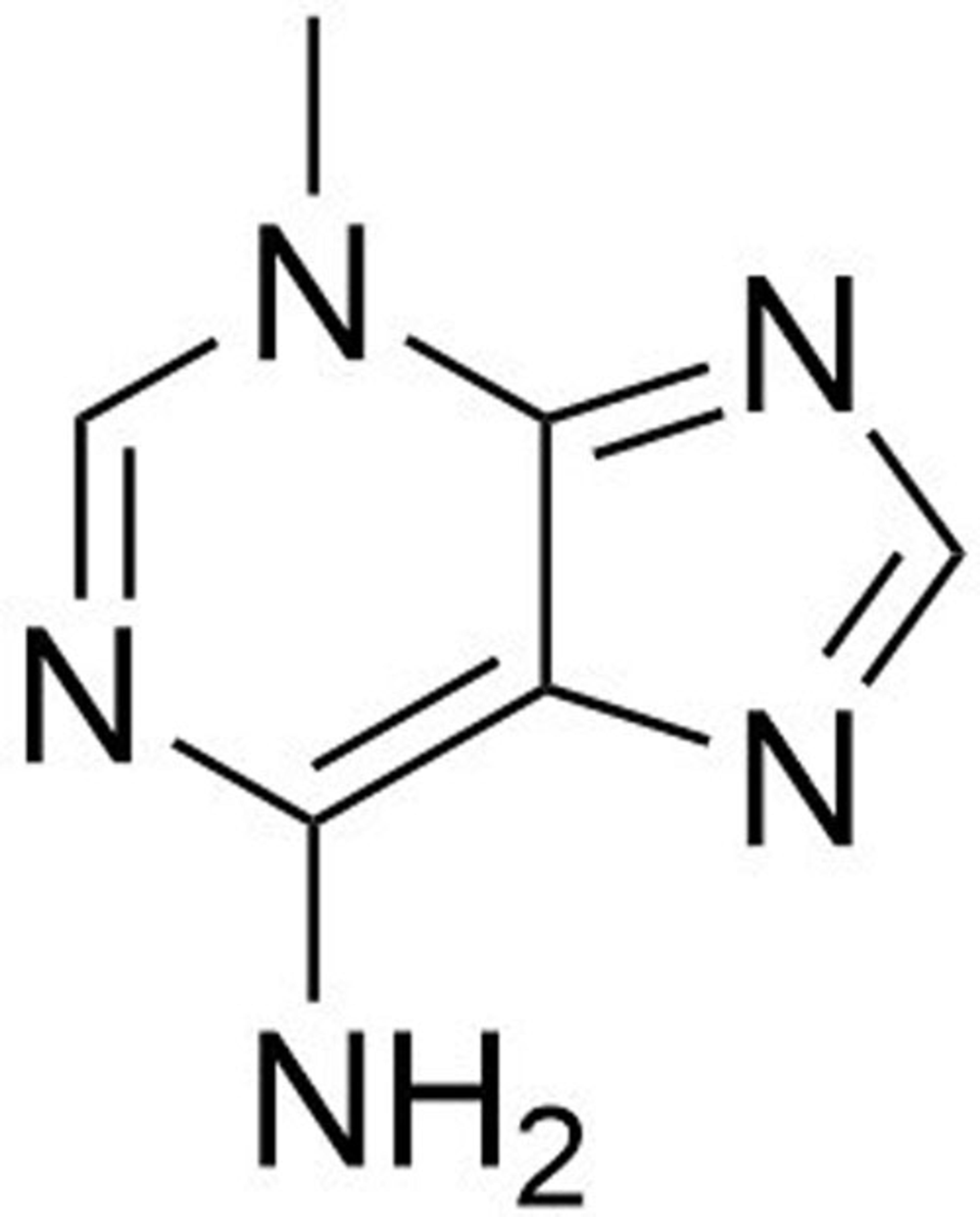 3-Methyladenine