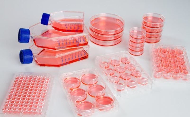 Buy Thermo Scientific™ Nunc™ UpCell cultureware Read Reviews