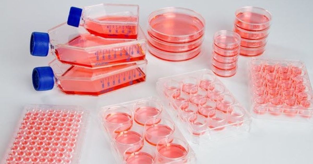 Thermo Scientific™ Nunc™ UpCell cultureware