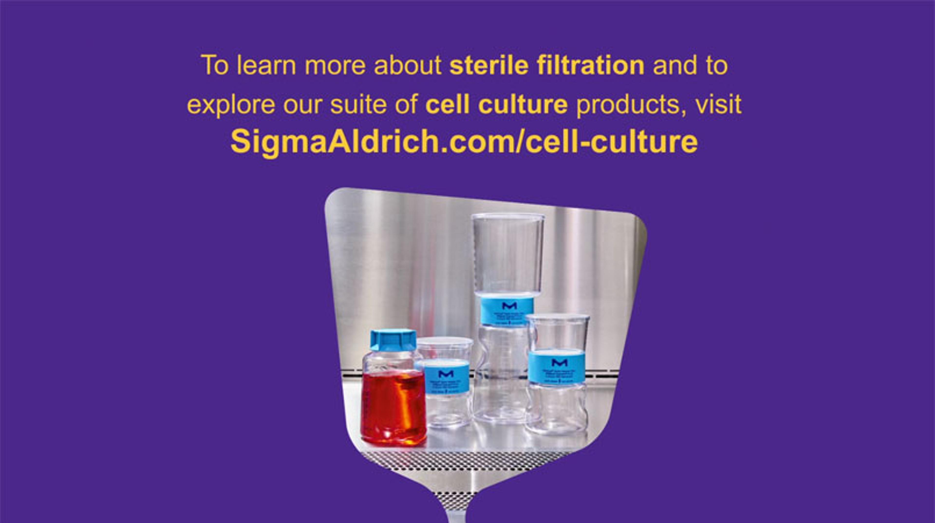Membrane Selection for Sterile Filtration Membrane Selection for Sterile Filtration