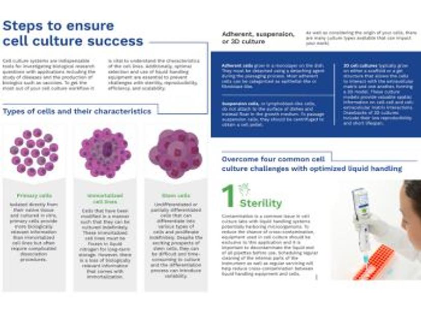 Preview of the steps to ensure cell culture success infographic