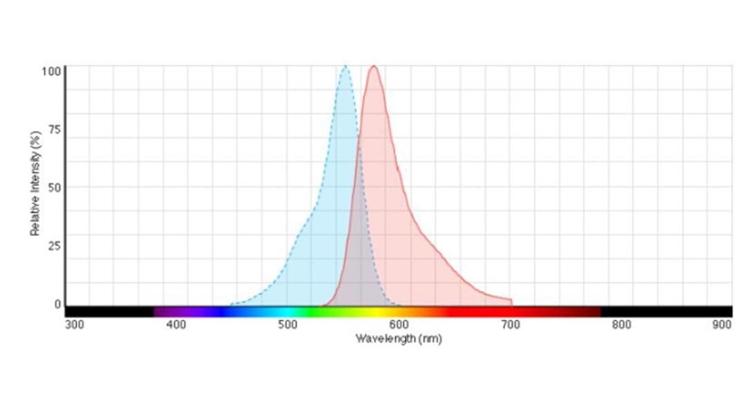 Ex/Em spectra for CellTrace™ Yellow dye.