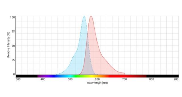 CellTrace™ Yellow Cell Proliferation Kit reviews