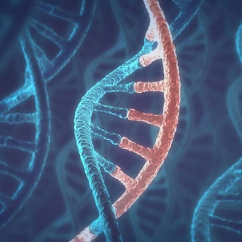Image or RNA