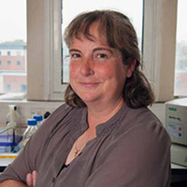 Prof. Anne McArdle, Professor of Musculoskeletal Biology, University of Liverpool