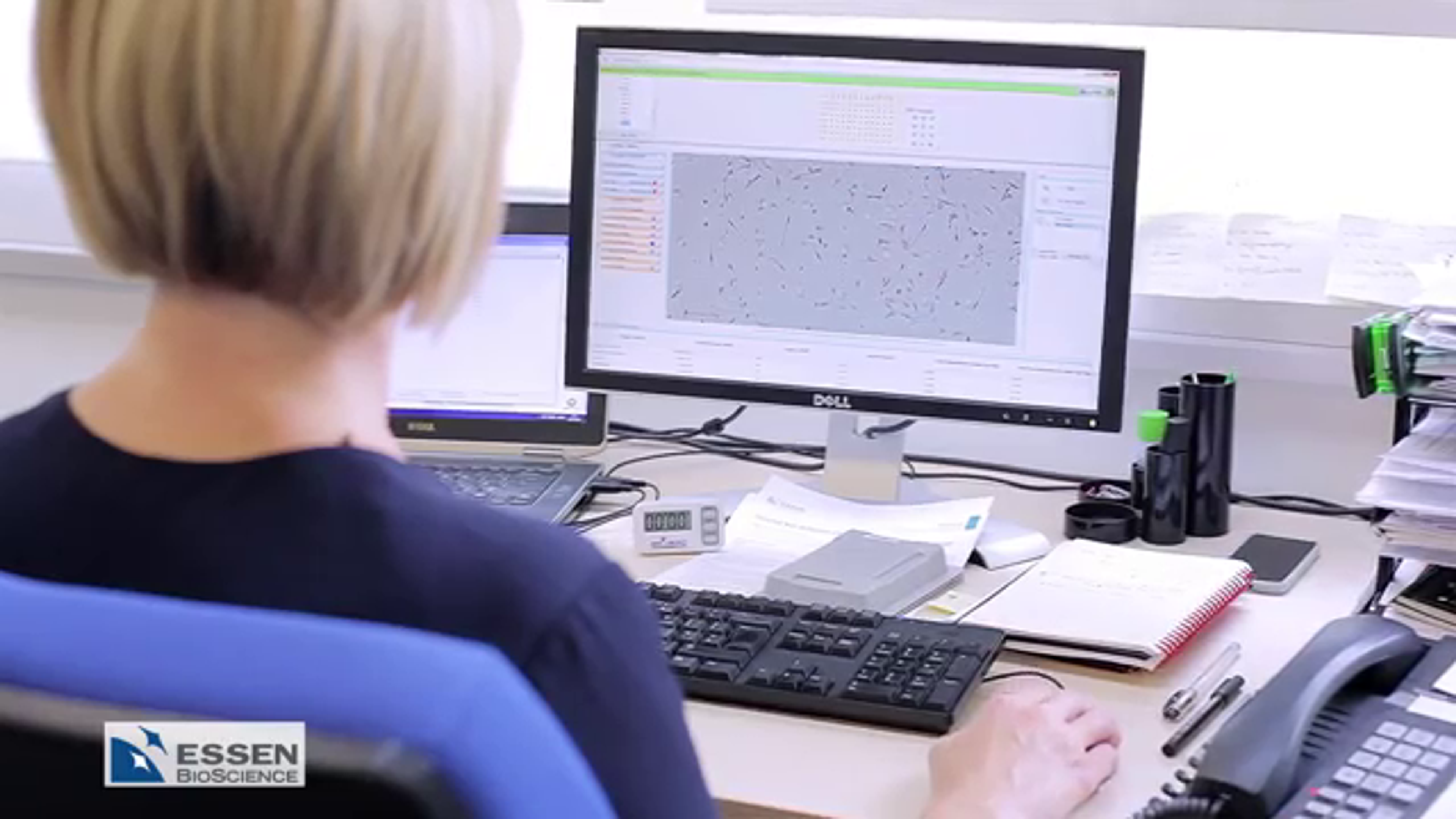 Cell Migration with the IncuCyte™ Chemotaxis System Cell Migration with the IncuCyte™ Chemotaxis System