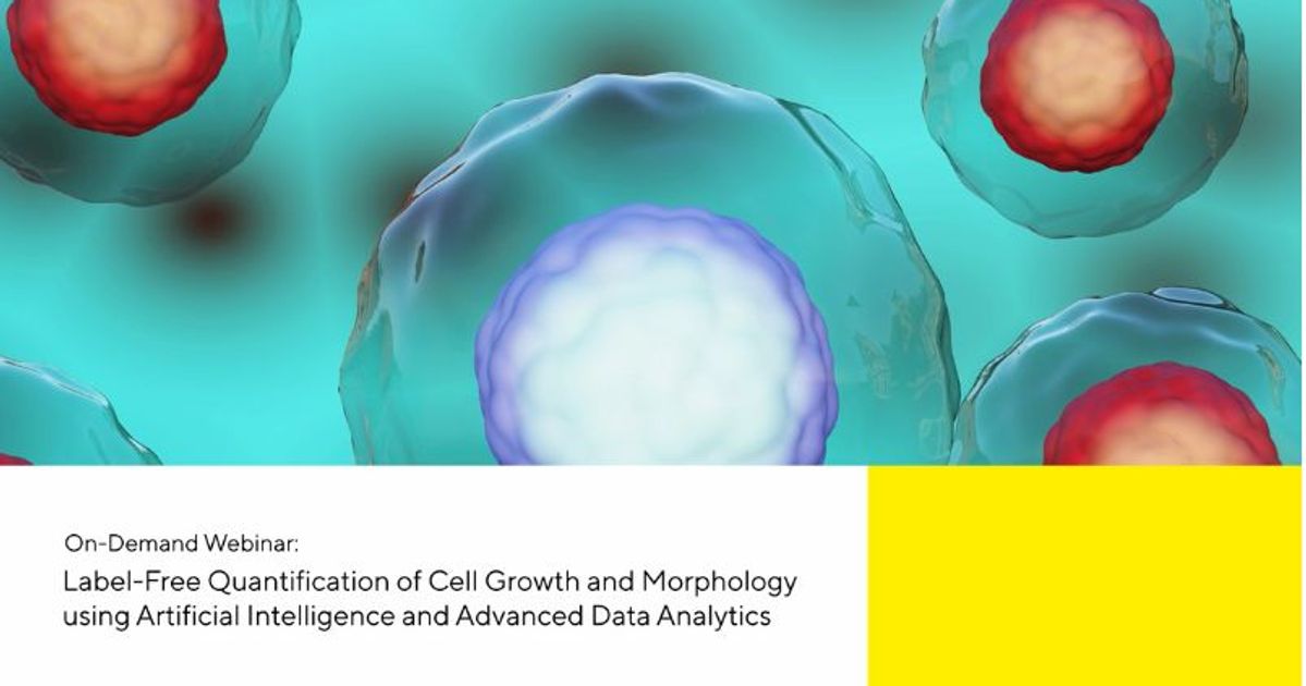 Label-free quantification of cell growth and morphology