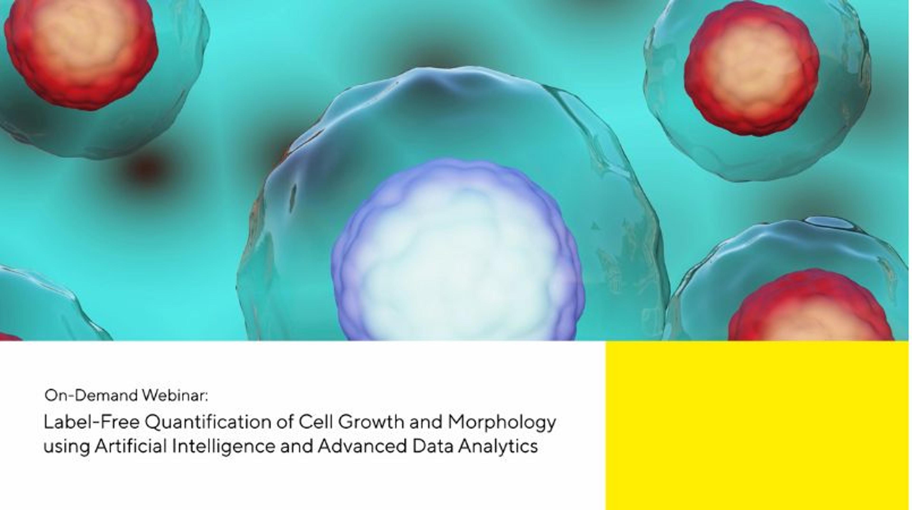 Label-free quantification of cell growth and morphology Label-free quantification of cell growth and morphology