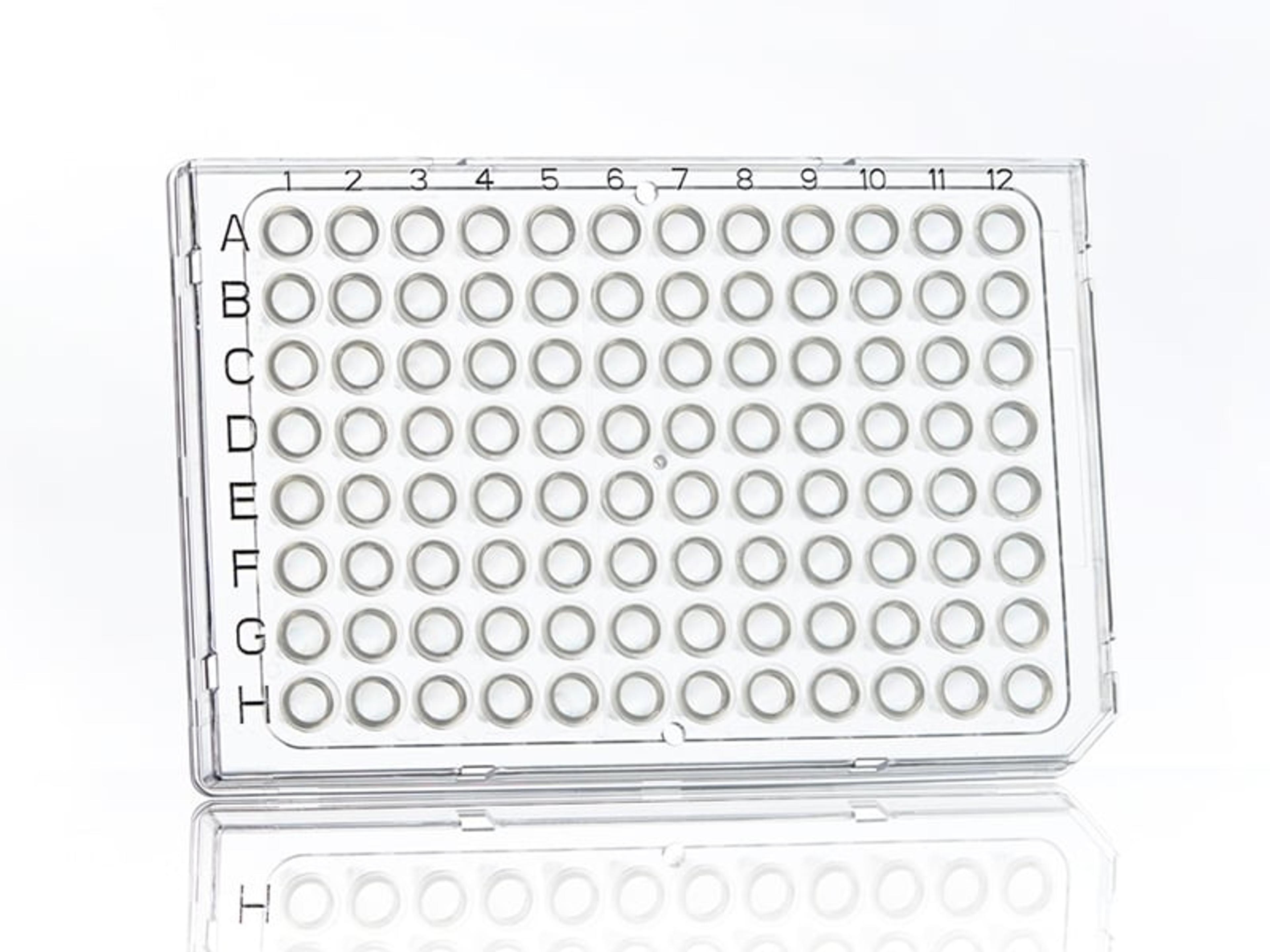 FrameStar® 96 Well Semi-Skirted PCR Plate, Roche Style