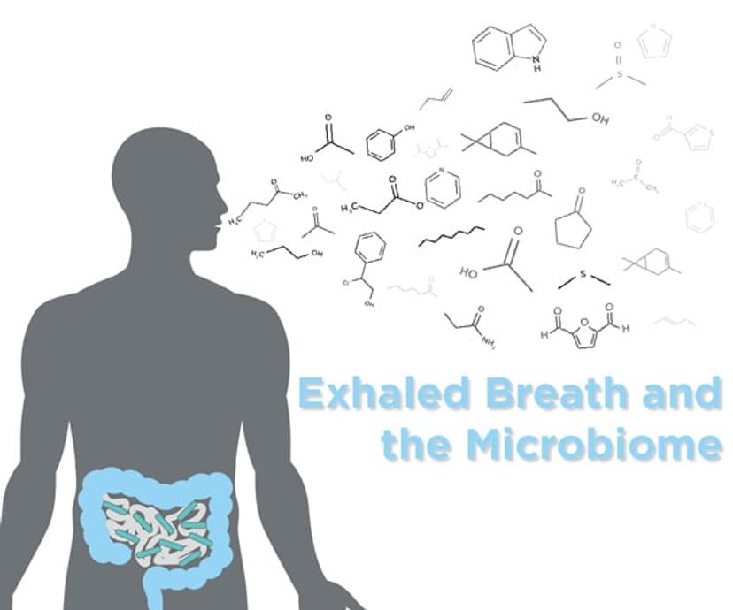 Compounds in the breath that can be linked to the microbiome