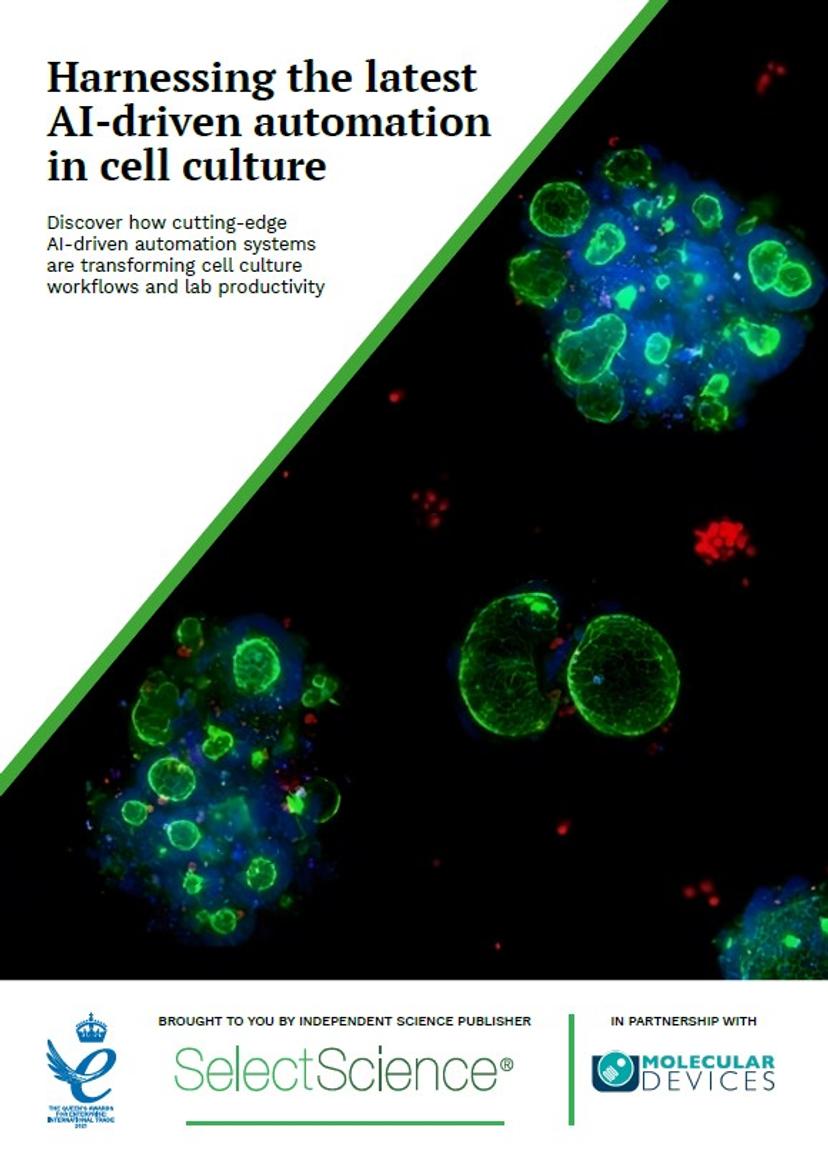AI-driven automation in cell culture - Molecular Devices - SelectScience eBook