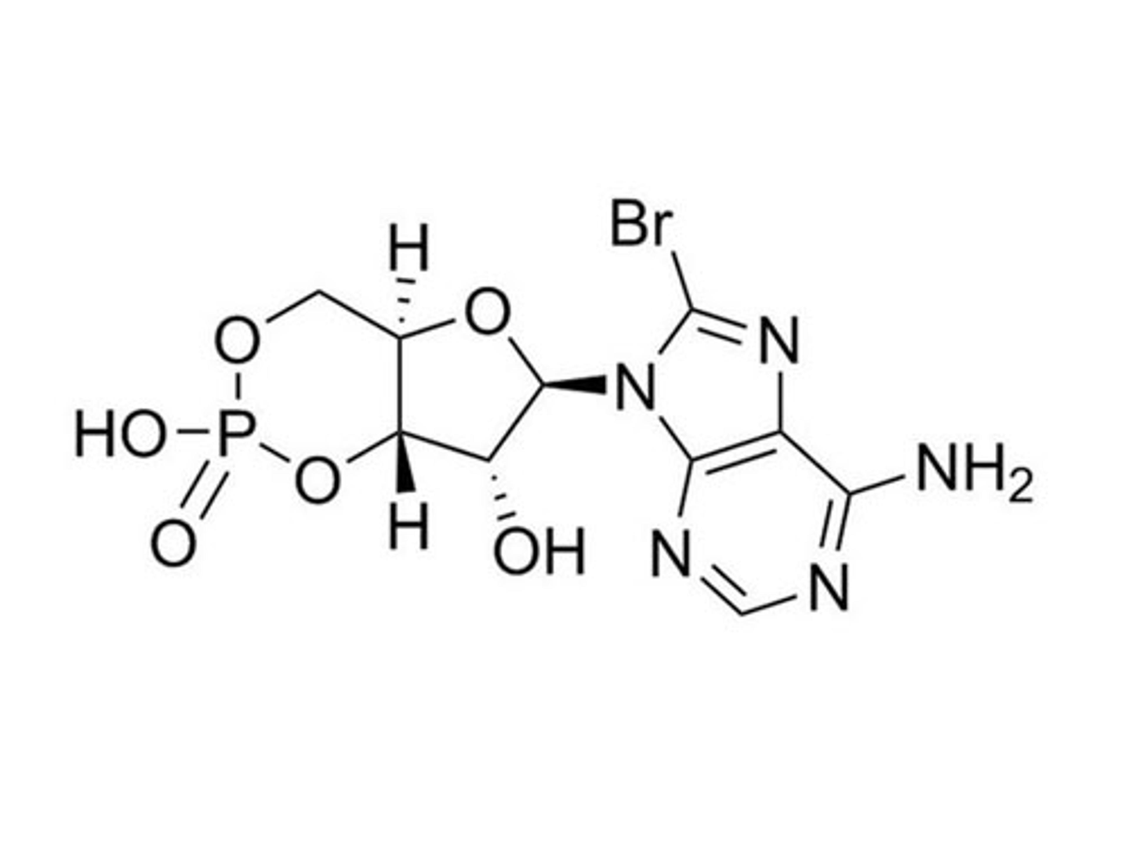 8-Bromo-cAMP