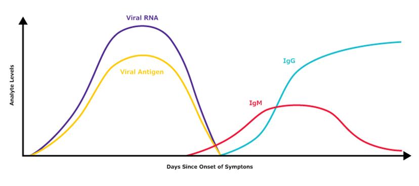 Biomarker levels during the typical timecourse of a viral infection