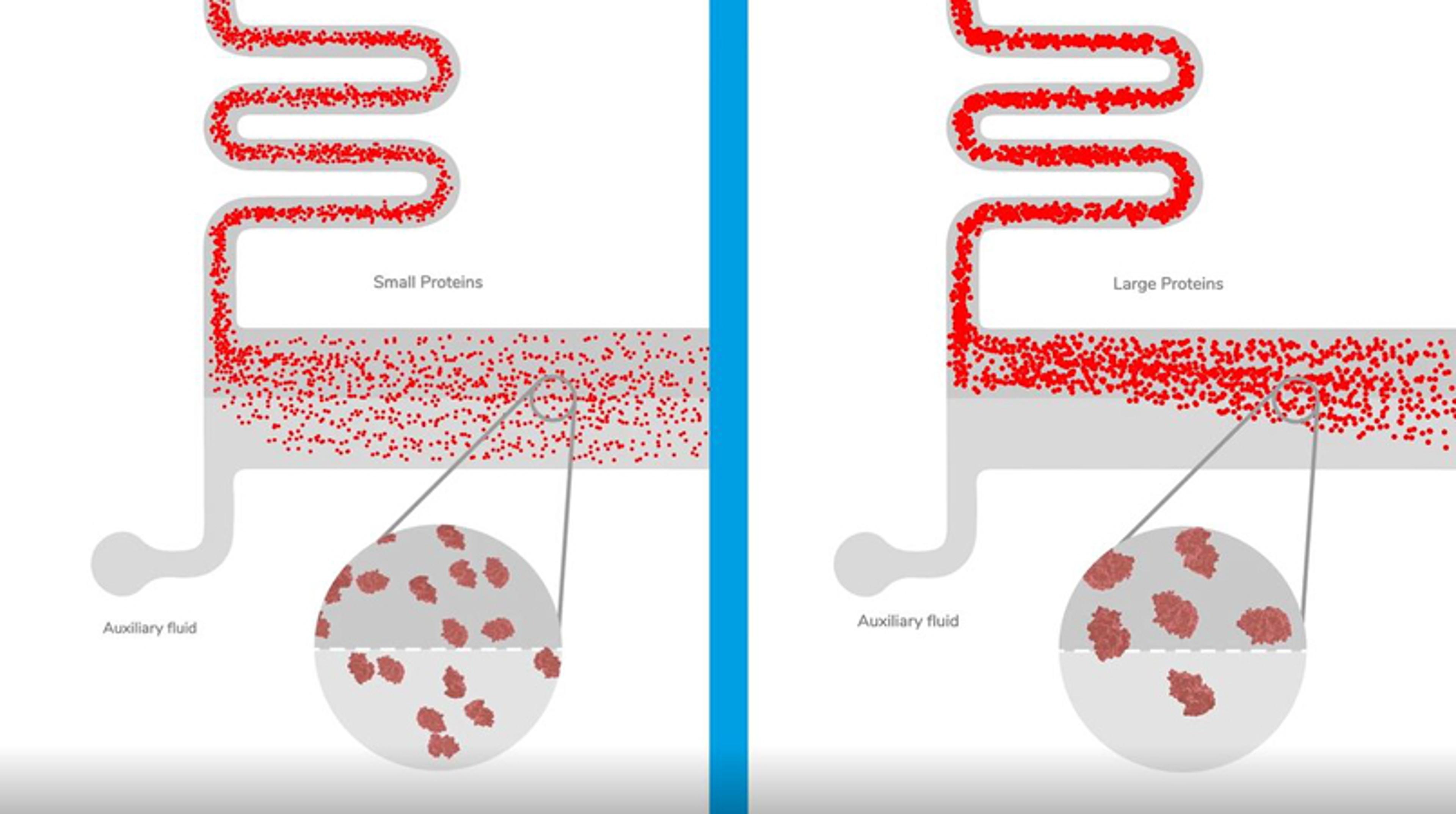How it works: Studying protein complexes with Fluidity One-W How it works: Studying protein complexes with Fluidity One-W