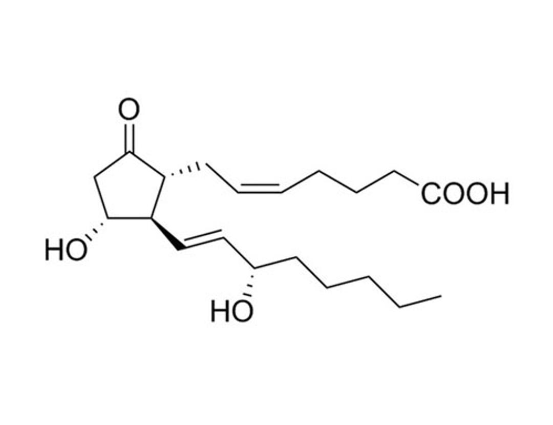 Prostaglandin E2