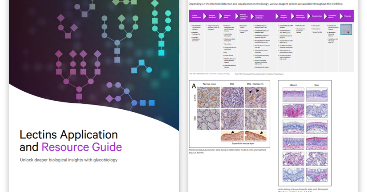 Lectins Notes Lectins application and resource guide