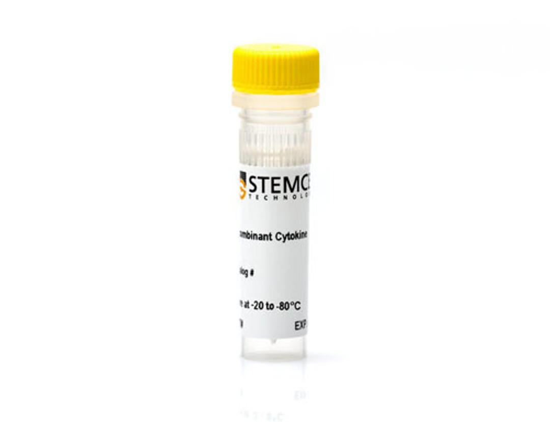 Mouse Recombinant M-CSF