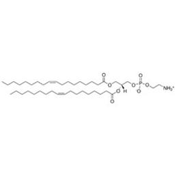 18:1 (?9-Cis) PE (DOPE) 1,2-dioleoyl-sn-glycero-3-phosphoeth