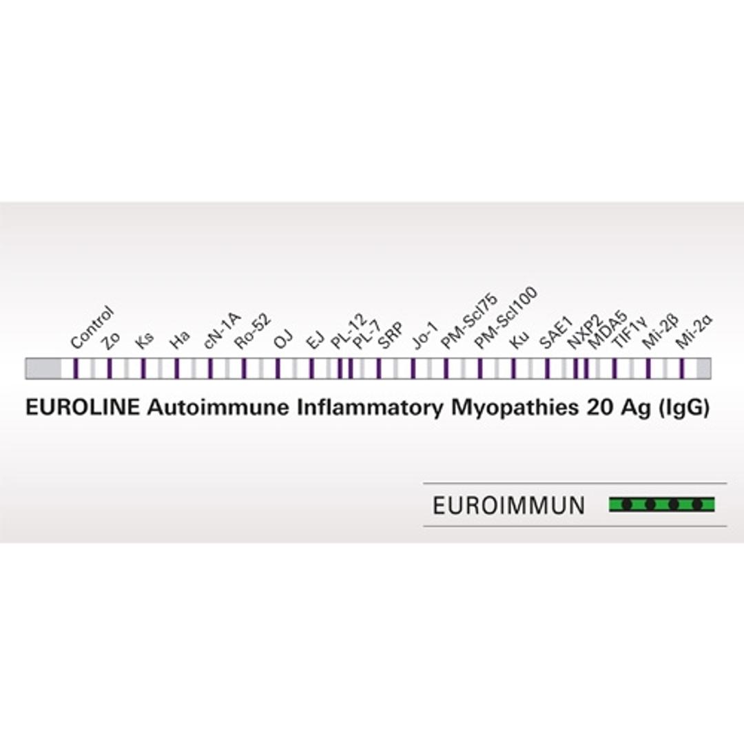 EUROLINE Myositis Profiles