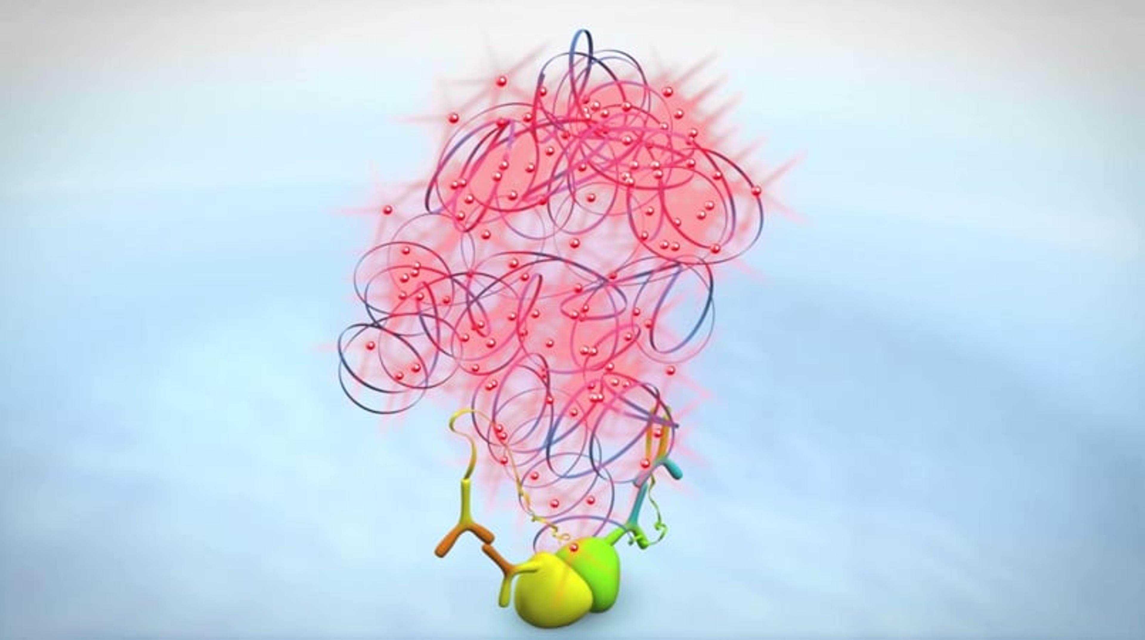 Duolink® PLA: Protein Detection Technology Duolink® PLA: Protein Detection Technology