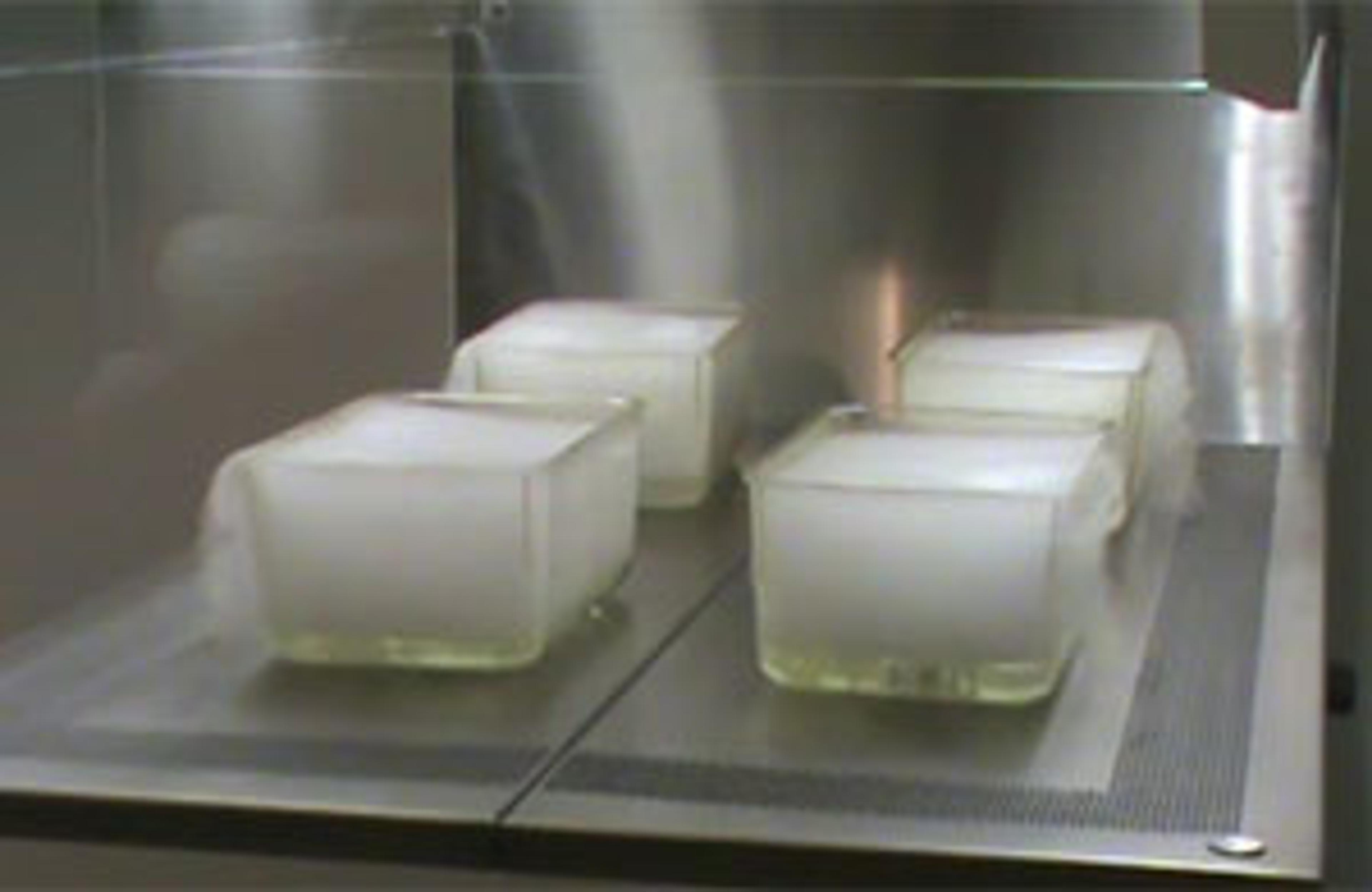 New Animal Transfer Station Facilitates Scientific Research New Animal Transfer Station Facilitates Scientific Research