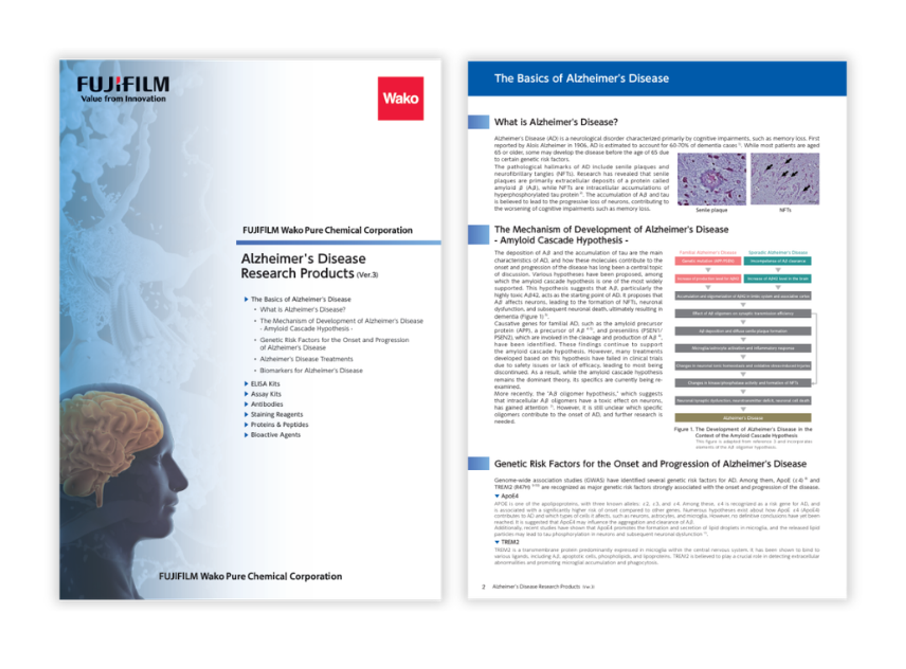 Neuroscience research tools for Alzheimer’s including antibodies assay kits and protein biomarkers for early detection