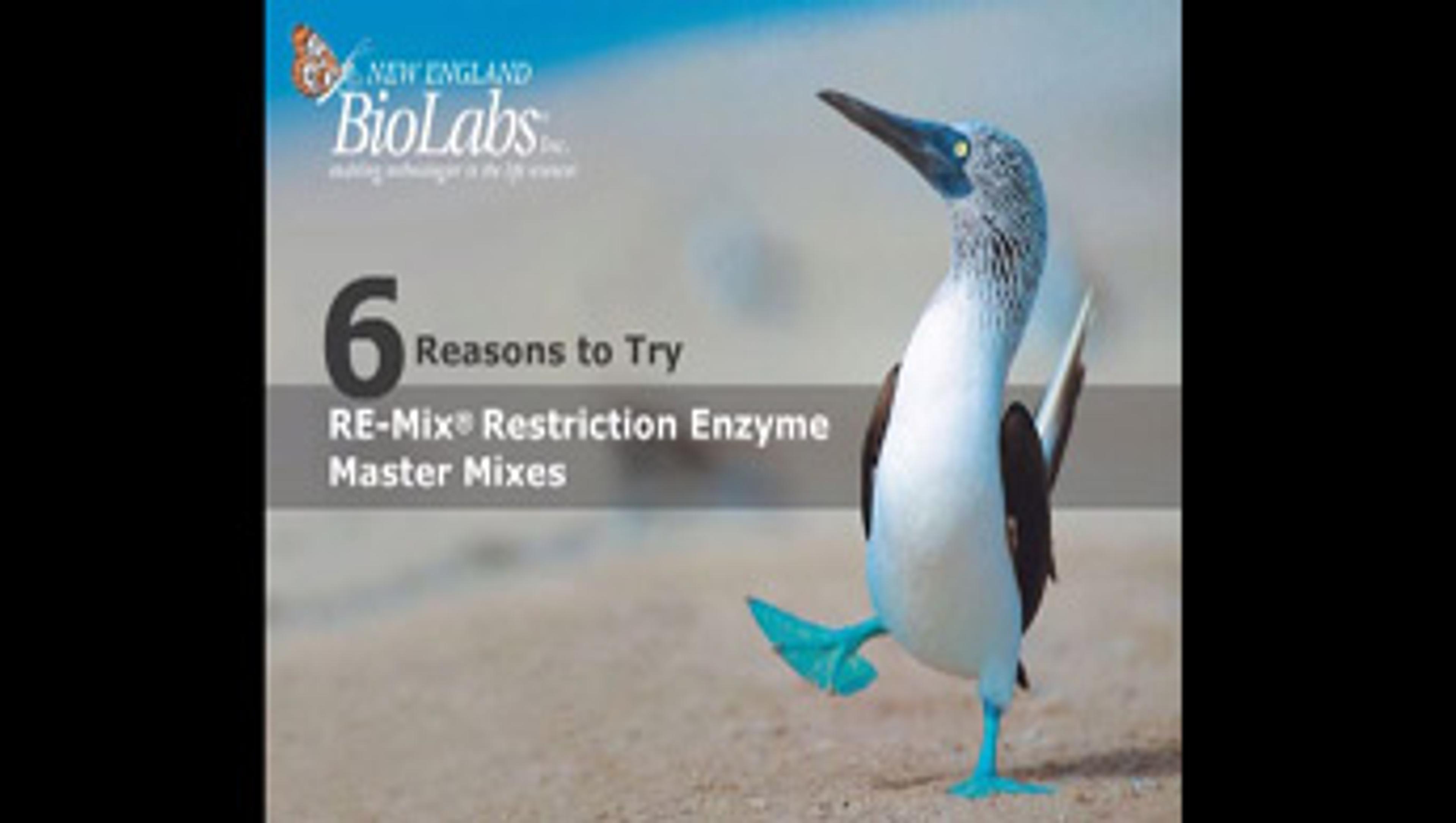 6 Reasons to Try RE-Mix® Restriction Enzyme Master Mixes from New England BioLabs 6 Reasons to Try RE-Mix® Restriction Enzyme Master Mixes from New England BioLabs