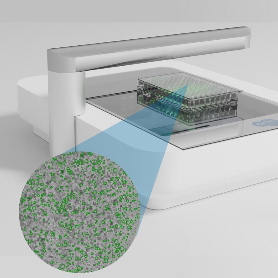 Robust organoid monitoring and quantification