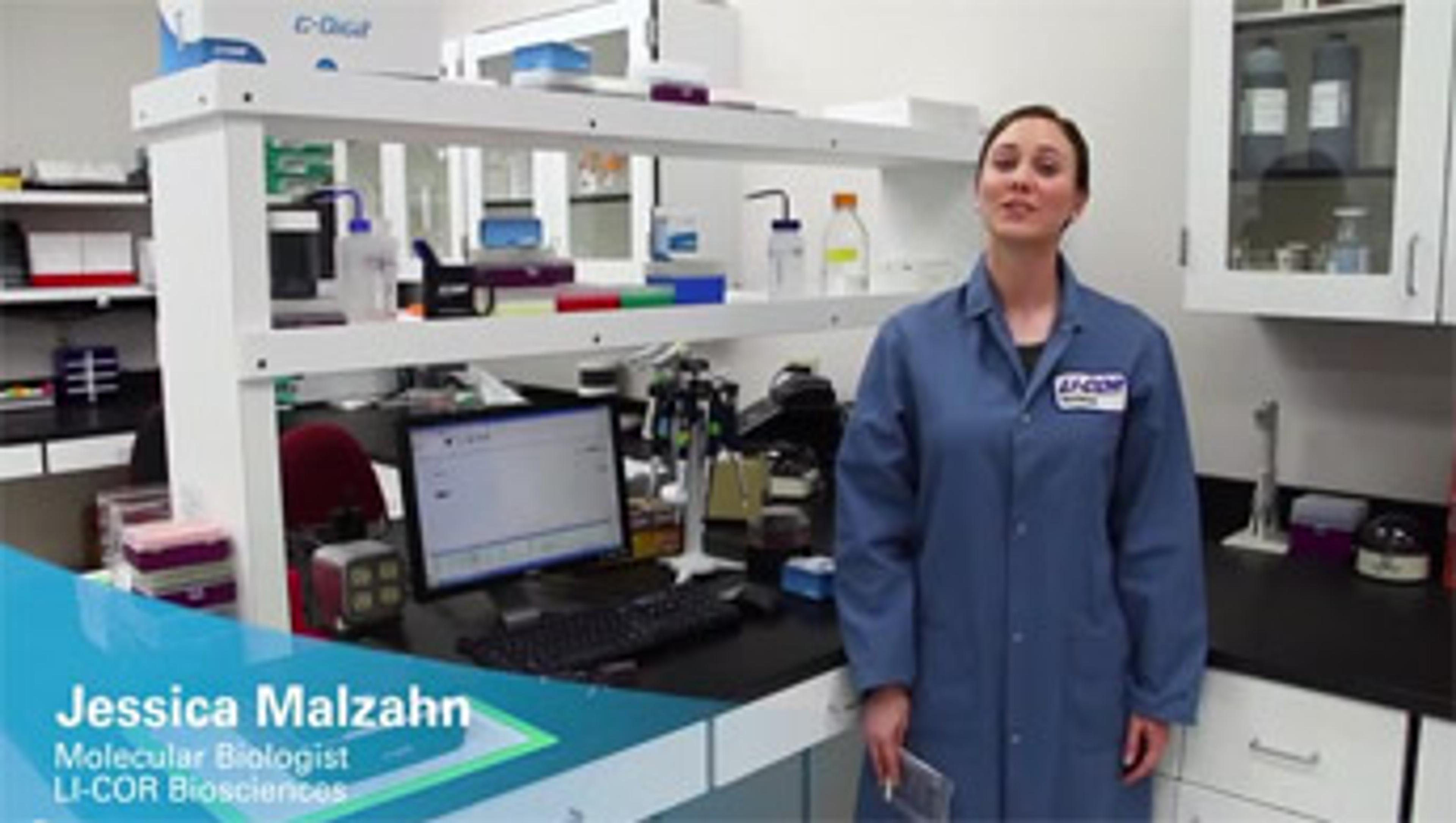 5 Tips for Using the C-DiGit Blot Scanner 5 Tips for Using the C-DiGit Blot Scanner