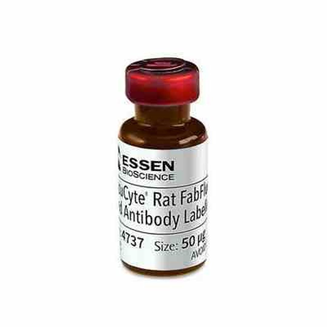 Rat Red Antibody Labeling Reagent