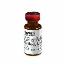 Rat Red Antibody Labeling Reagent