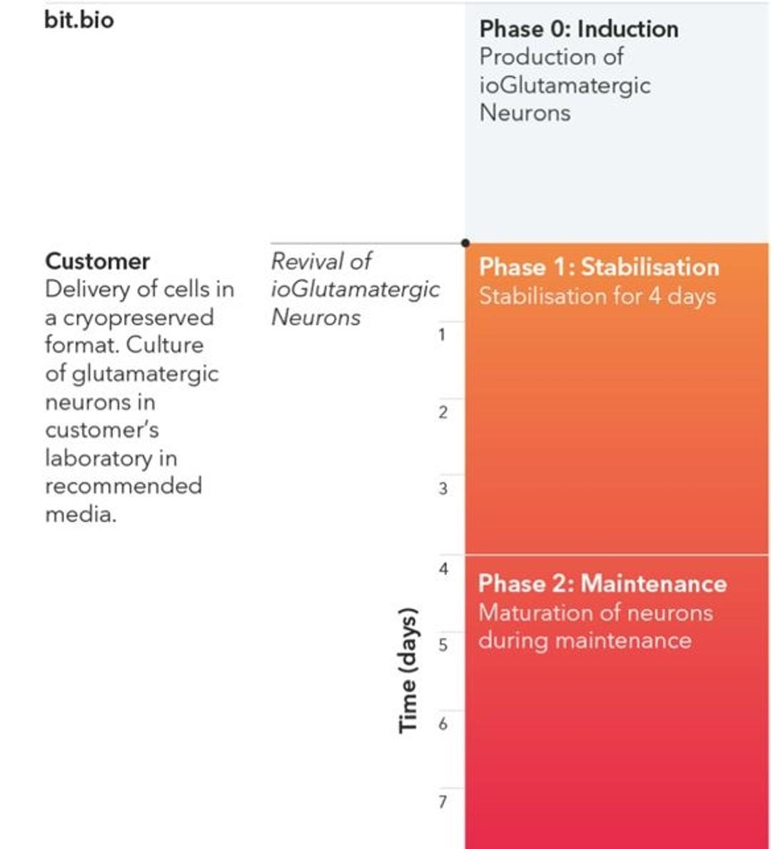 One medium required in a 2-phase protocol