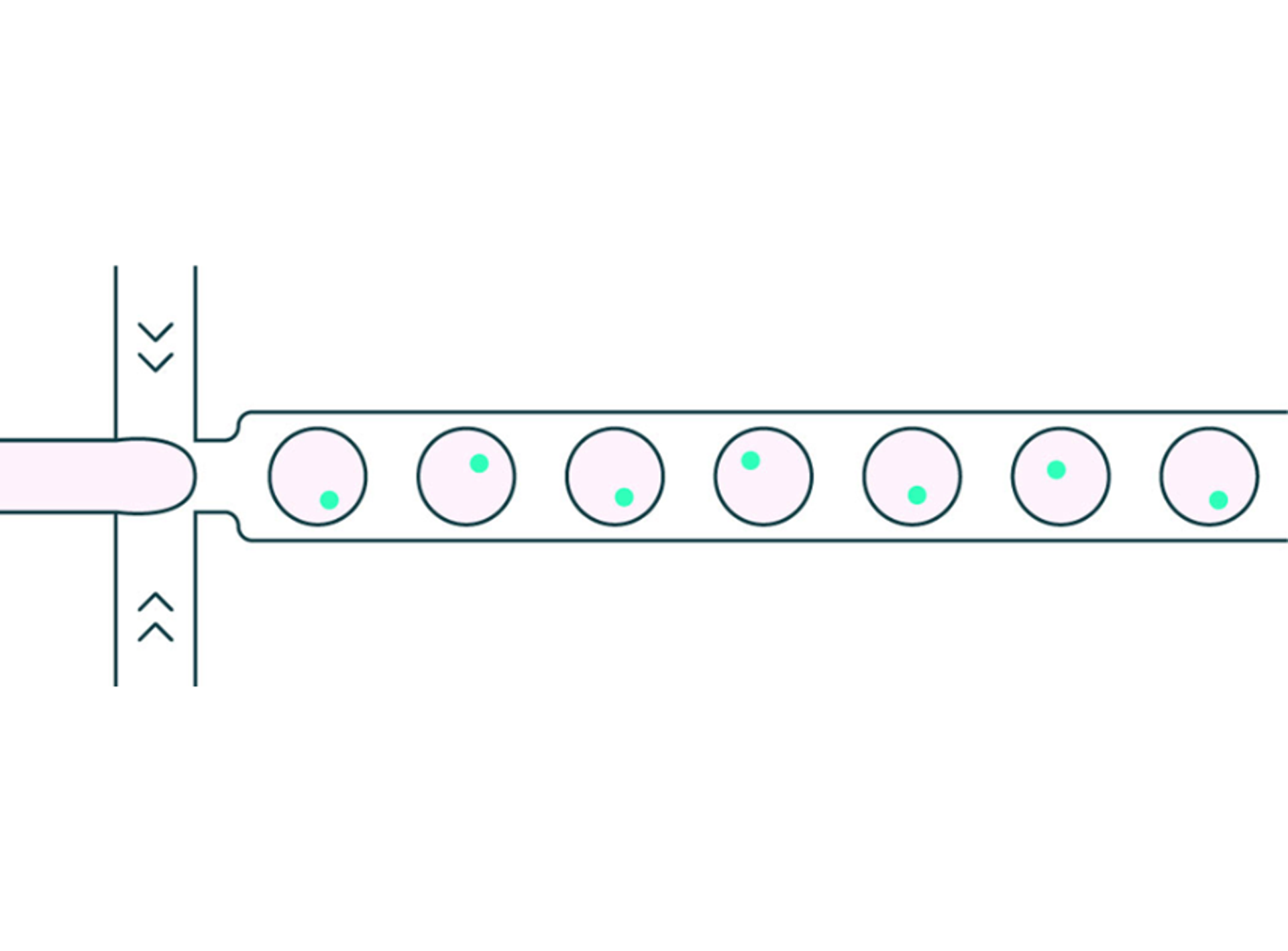 Figure 1: droplet generation process to encapsulate a single cell per droplet