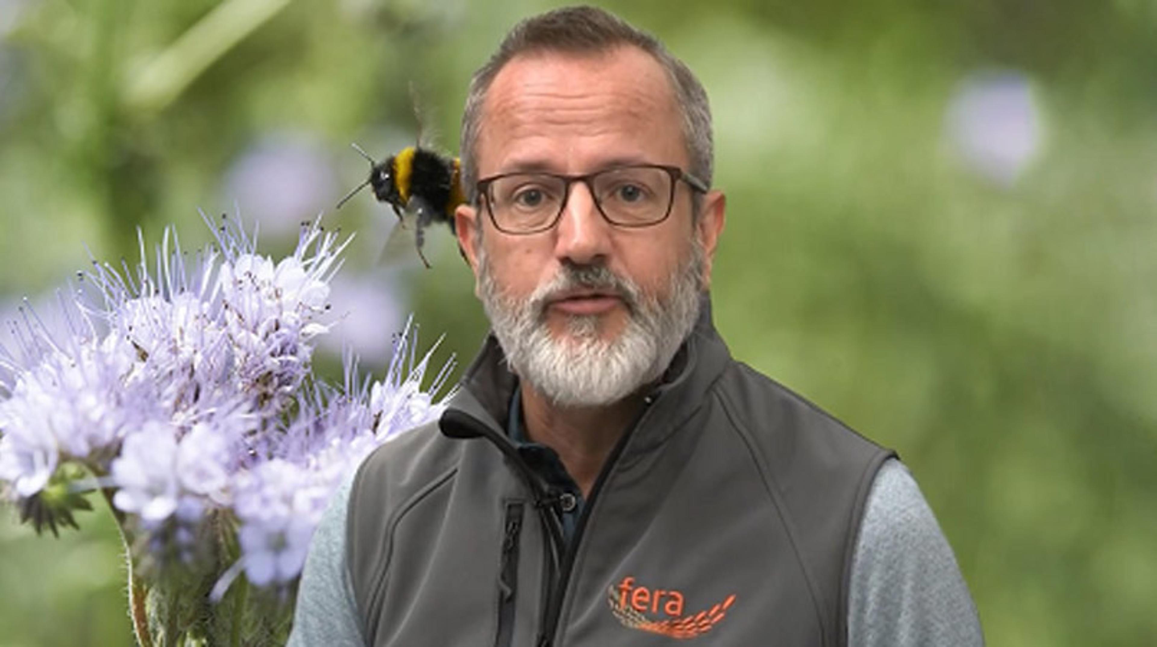 Protecting Customers and Pollinators from Harmful Pesticides Protecting Customers and Pollinators from Harmful Pesticides
