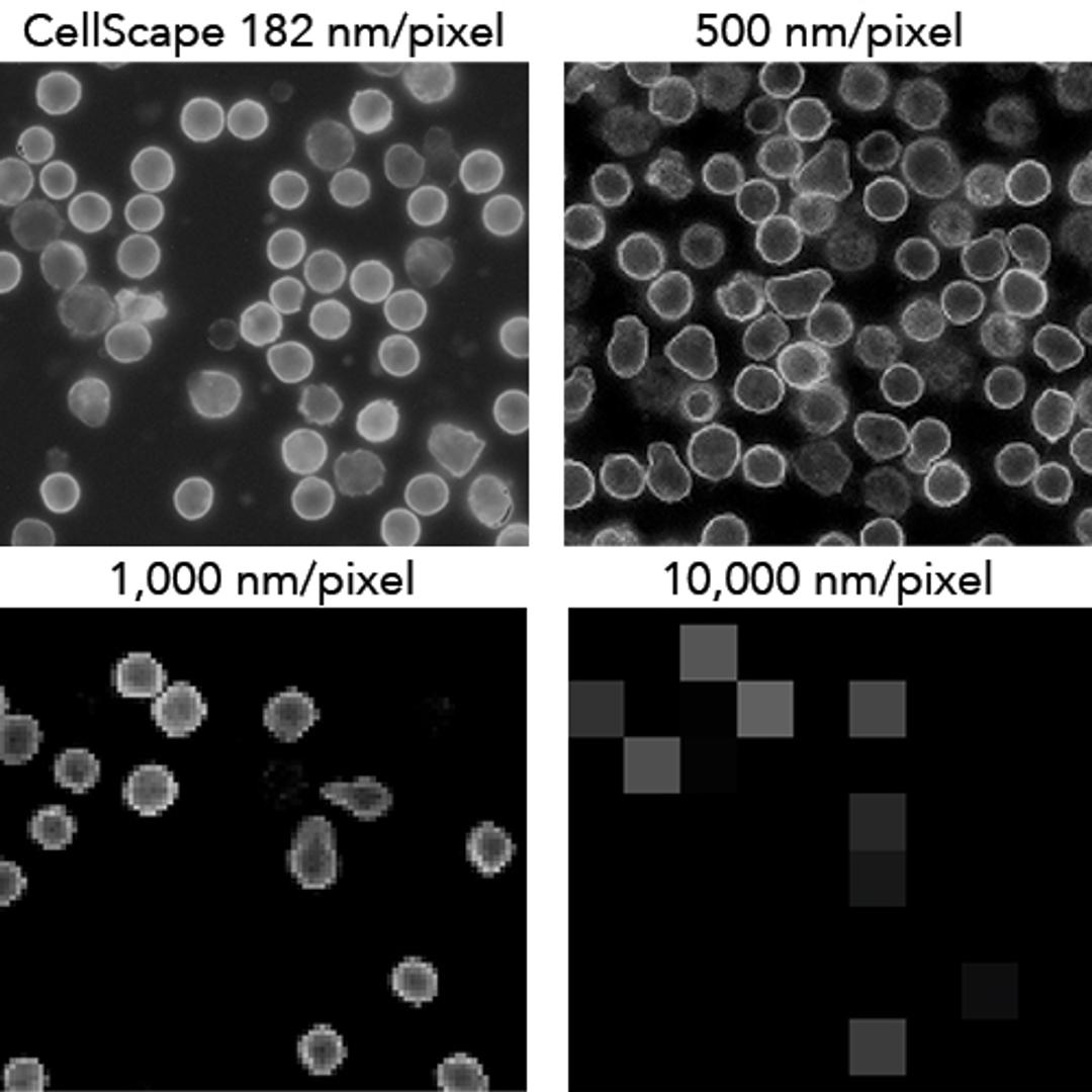 CellScape field of view comparison