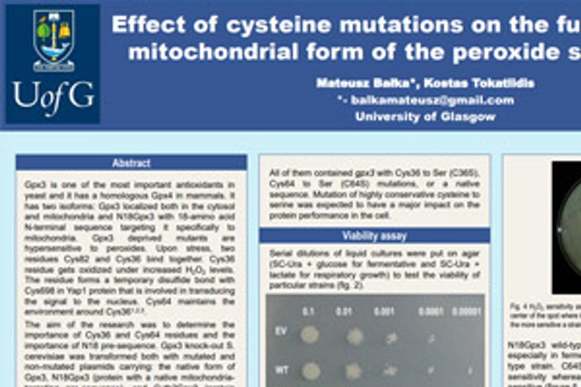 Effect of cysteine mutations on the function of the mitochondrial form of the peroxide sensor Gpx3