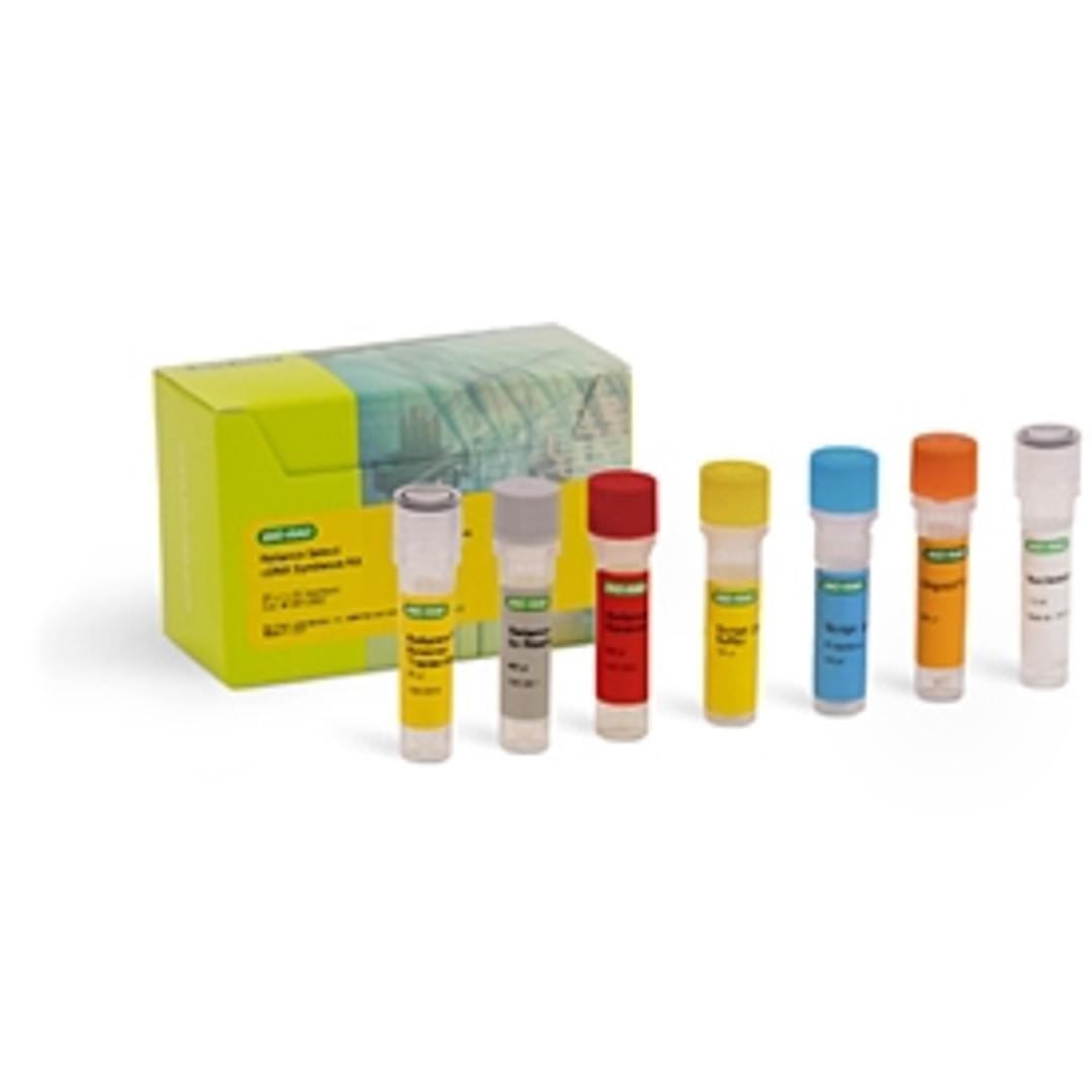 Reliance Select cDNA Synthesis Kit