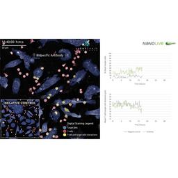 LCB video + graphs